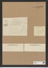 Actinoptychus moronensis (Grev.) Cleve (de-Toni-Nr.: Genus 227, Species 5533) Zeichnungen Sammlung Grunow Nr. 9563 (NHMW-BOT-W0379370)